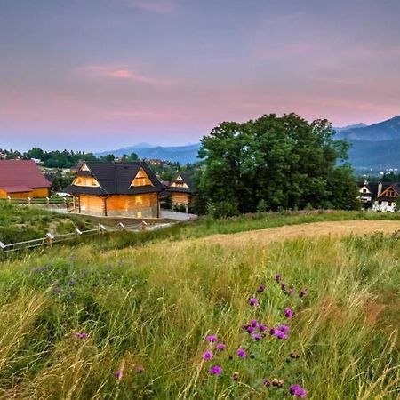 Willa Pitoniowka Z Sauna, Netflix Oraz Xbox One Kościelisko Esterno foto